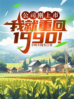 公司刚上市,我就重回1990!